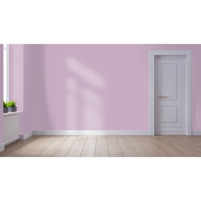 Wandfarbe NCS-S-2020-R40B Abendhimmel von Wallcover Colors