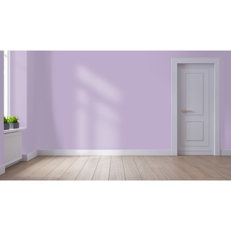 Wandfarbe NCS-S-2020-R50B Samtburgunder von Wallcover Colors