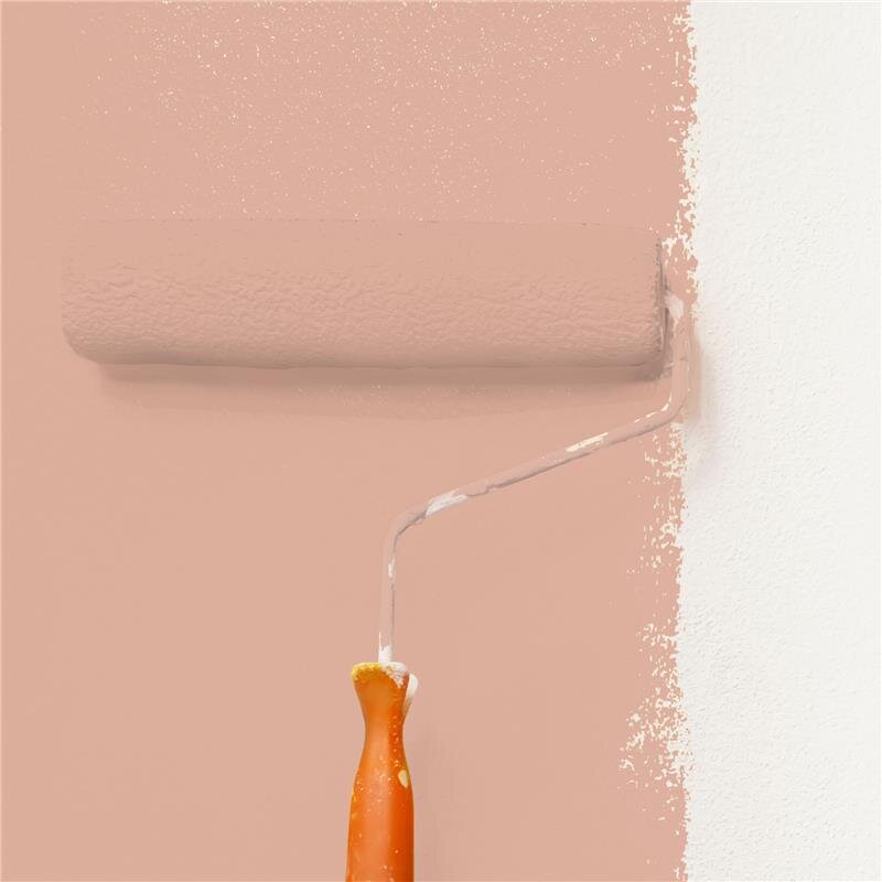 Wandfarbe NCS-S-2020-Y70R Sonnenuntergangsrot von Wallcover Colors