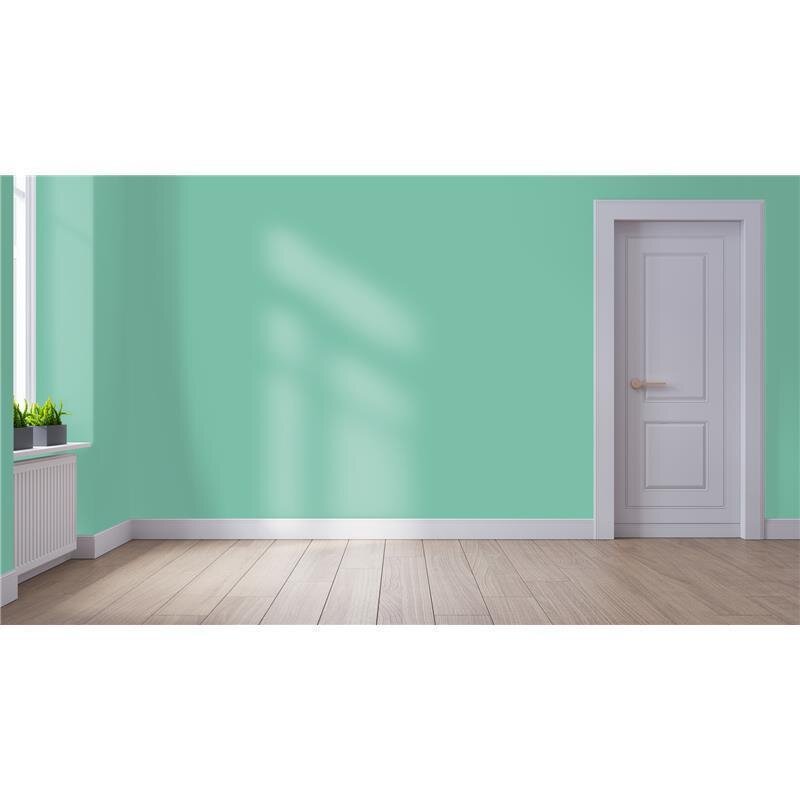 Wandfarbe NCS-S-2030-B90G Aqua Minze von Wallcover Colors