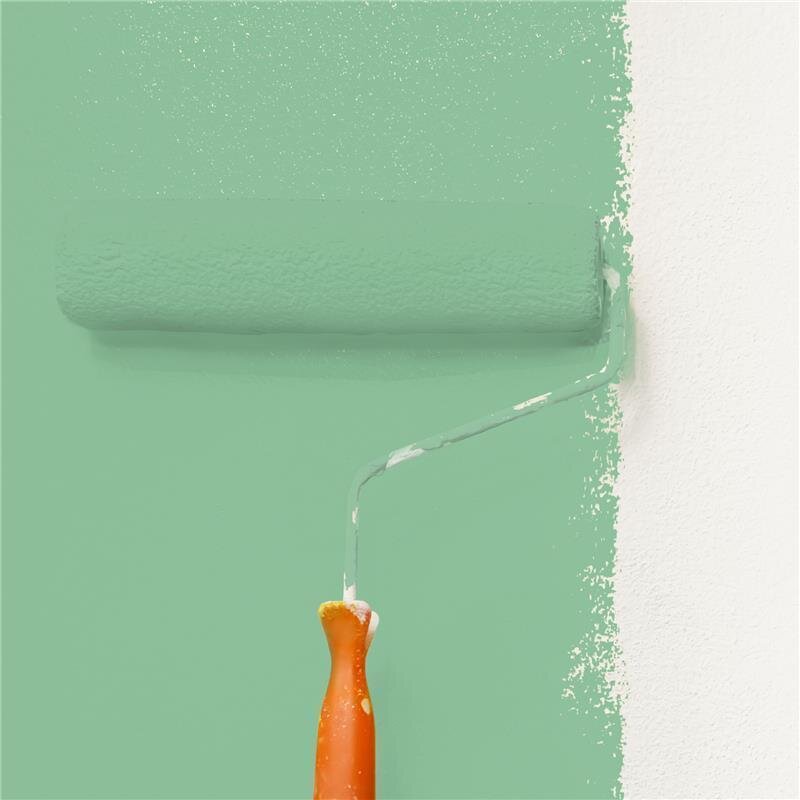 Wandfarbe NCS-S-2030-G10Y Frühlingsmorgen von Wallcover Colors