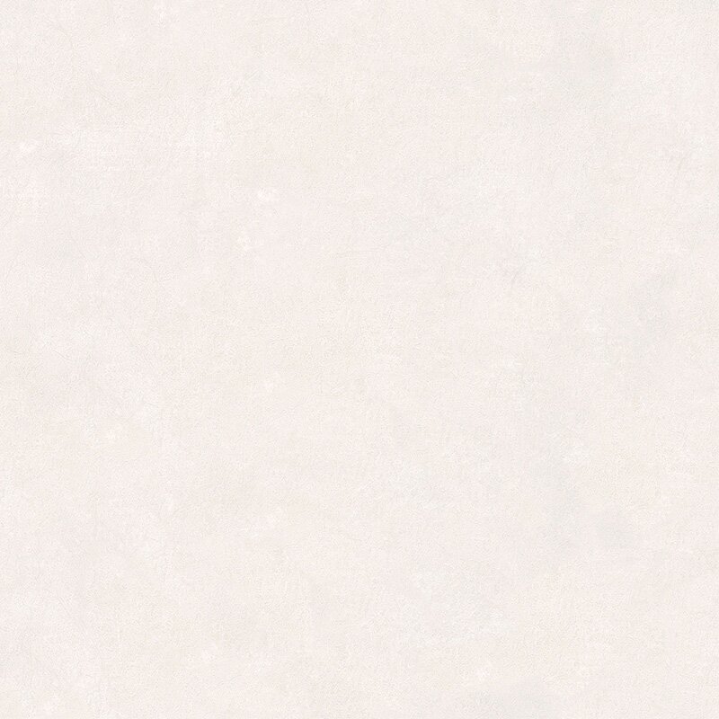 Tapete Weiß Dieter Langer Vliestapete (1033254)