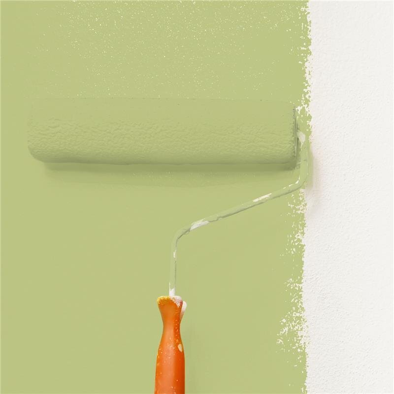 Wandfarbe NCS-S-2030-G60Y Frühlingshauch von Wallcover Colors