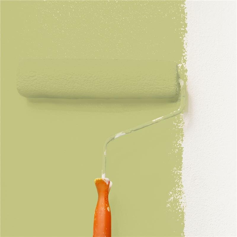 Wandfarbe NCS-S-2030-G70Y Frühlingsmorgen von Wallcover Colors