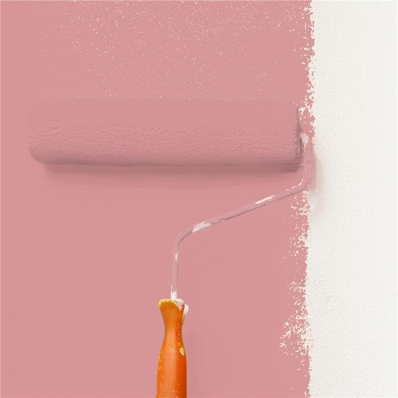 Wandfarbe NCS-S-2030-R Rubinrot von Wallcover Colors