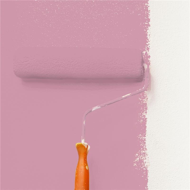 Wandfarbe NCS-S-2030-R20B Rosenholz von Wallcover Colors