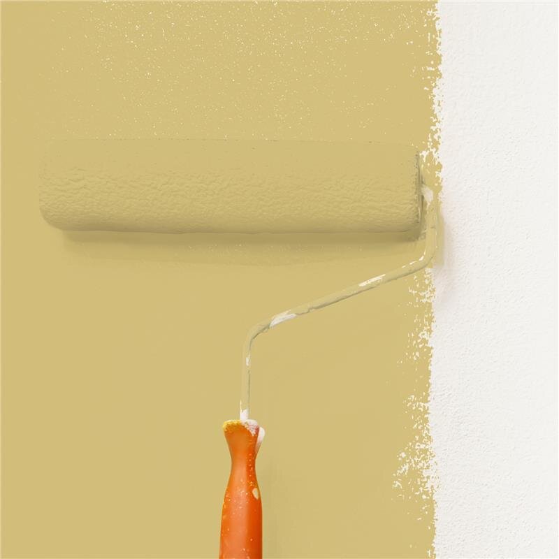 Wandfarbe NCS-S-2030-Y Frühlingssonne von Wallcover Colors