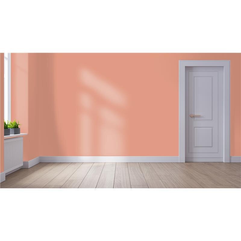 Wandfarbe NCS-S-2030-Y70R Sonnenglut von Wallcover Colors