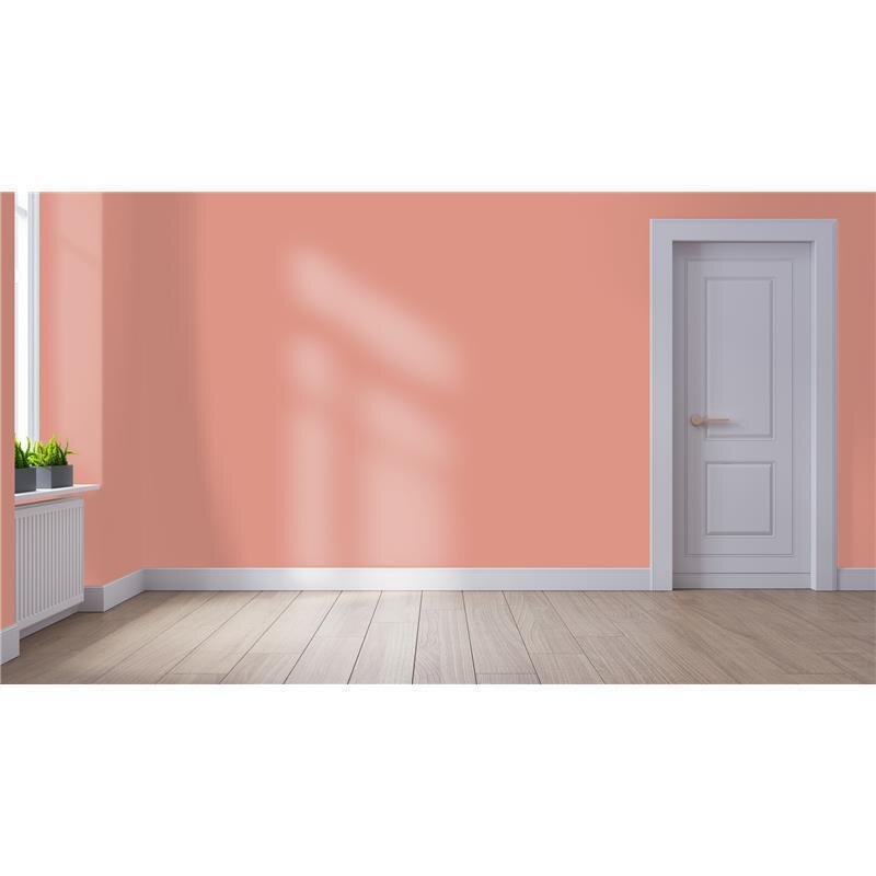 Wandfarbe NCS-S-2030-Y80R Sanfter Apricot von Wallcover Colors