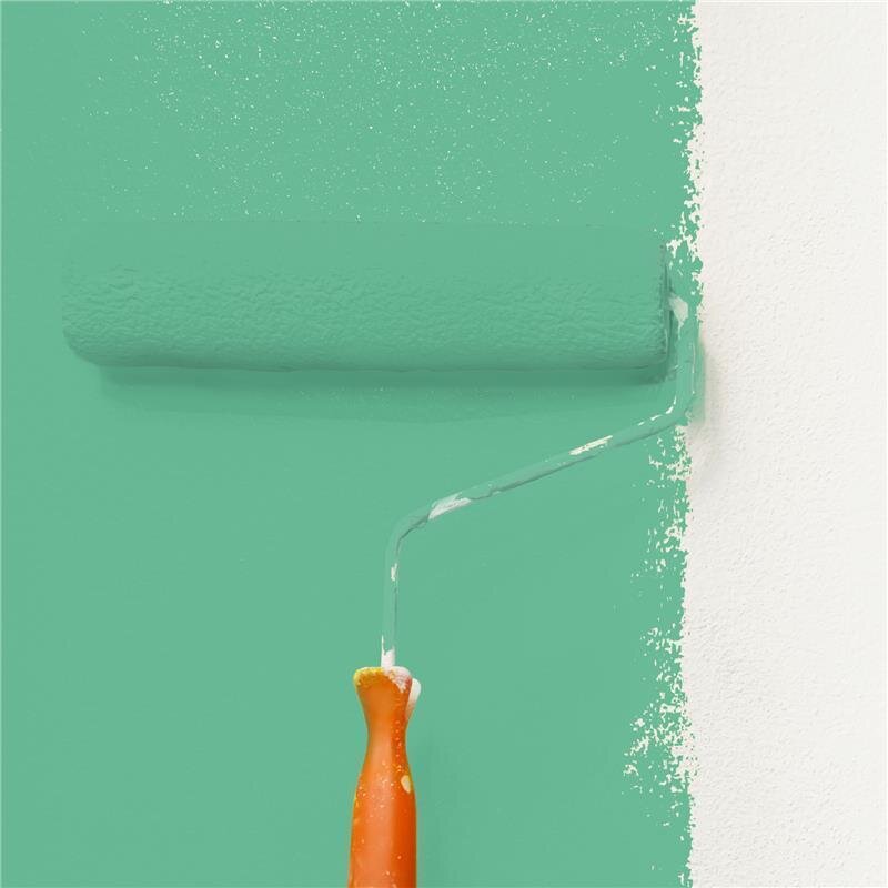 Wandfarbe NCS-S-2040-G Grünoase von Wallcover Colors