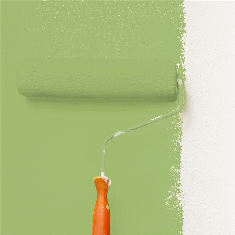 Wandfarbe NCS-S-2040-G40Y Frühlingsfrische von Wallcover Colors