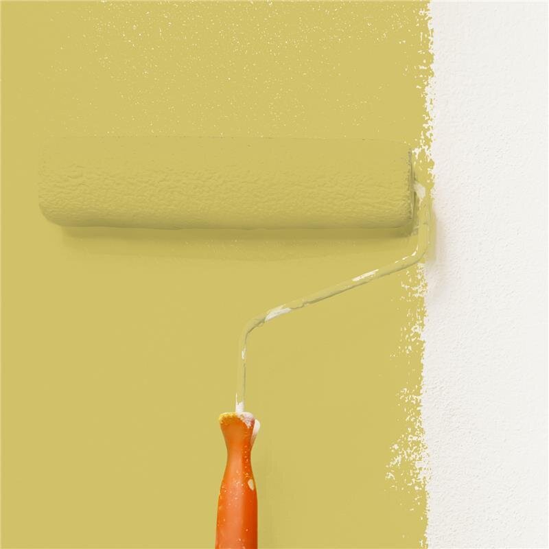 Wandfarbe NCS-S-2040-G90Y Frühlingsgrün von Wallcover Colors