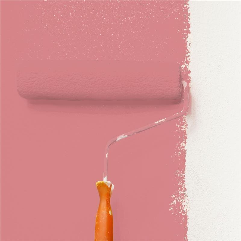 Wandfarbe NCS-S-2040-R Leidenschaftliches Rot von Wallcover Colors