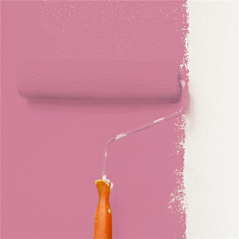 Wandfarbe NCS-S-2040-R20B Rubinrot von Wallcover Colors