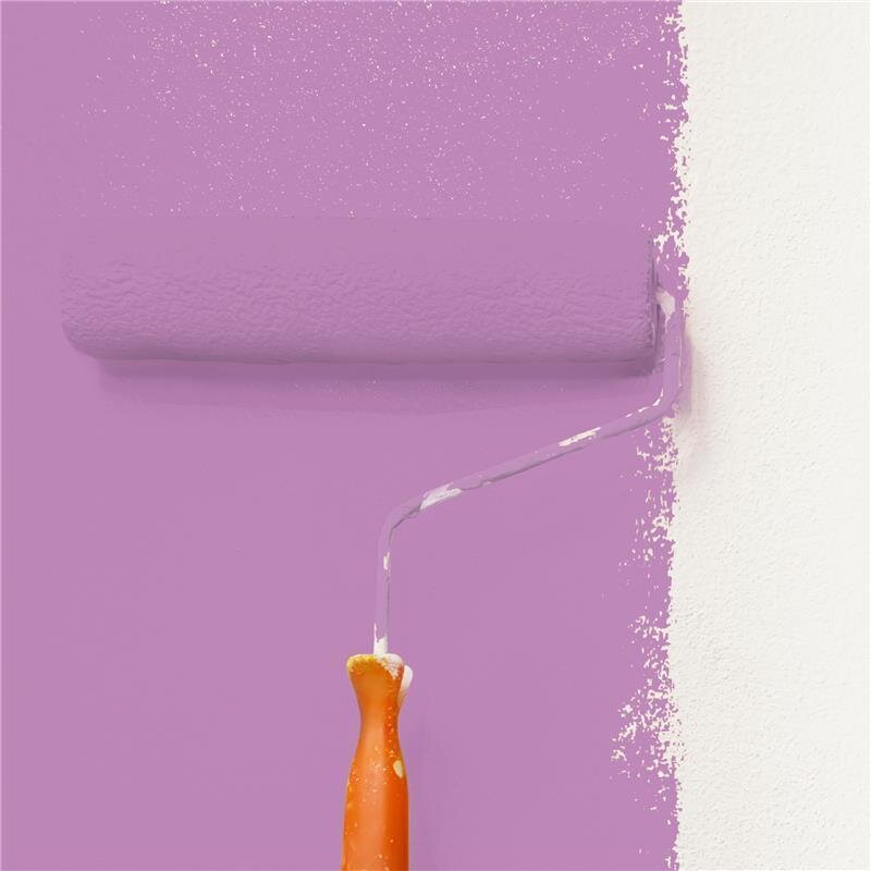 Wandfarbe NCS-S-2040-R40B Abendrot von Wallcover Colors