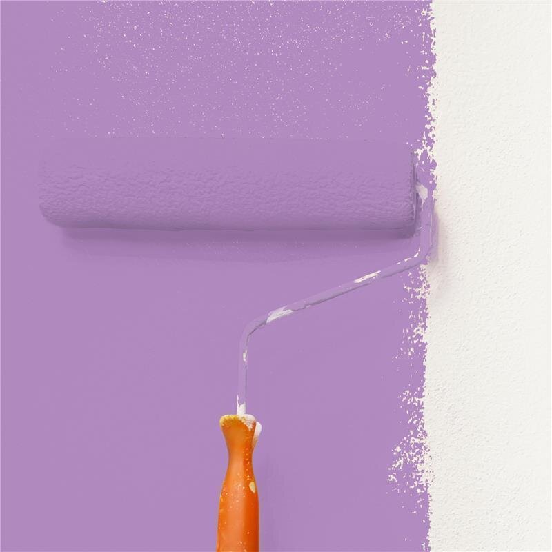 Wandfarbe NCS-S-2040-R50B Rubinrot von Wallcover Colors