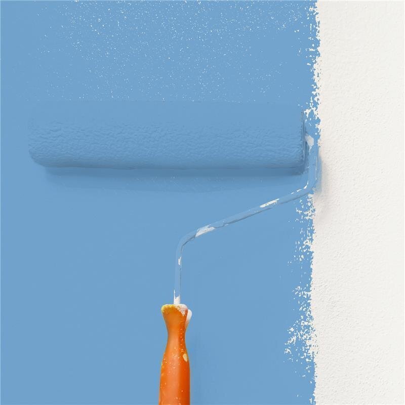 Wandfarbe NCS-S-2040-R90B Ozeanblau von Wallcover Colors