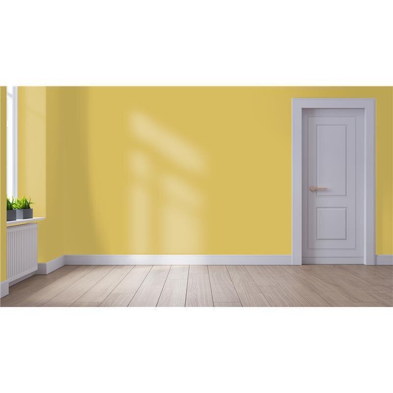 Wandfarbe NCS-S-2040-Y Sonnengold von Wallcover Colors