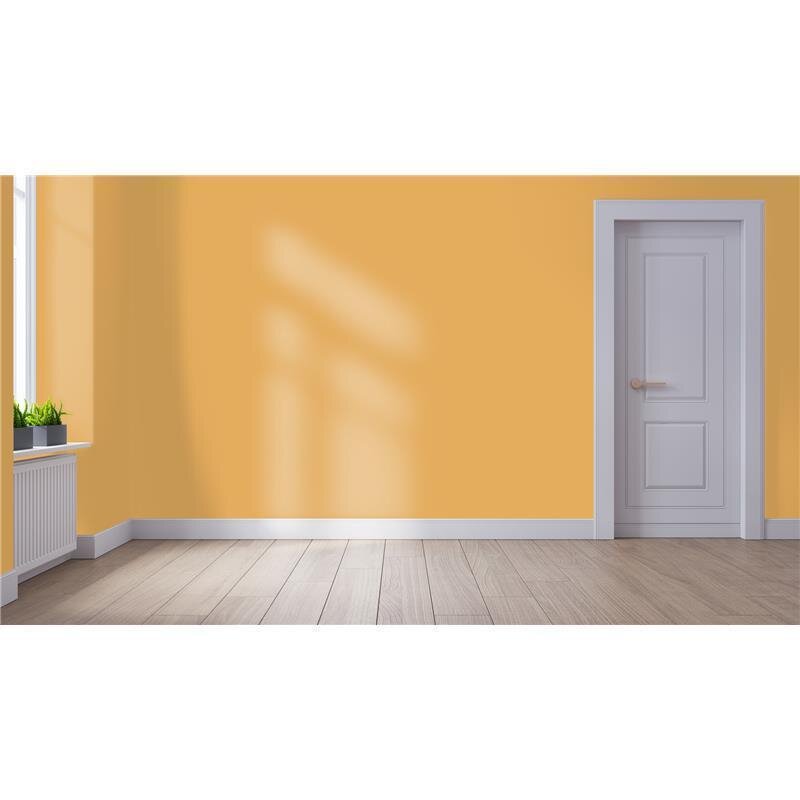 Wandfarbe NCS-S-2040-Y20R Sonnenuntergangsgold von Wallcover Colors