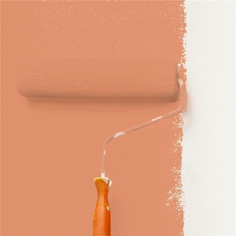 Wandfarbe NCS-S-2040-Y60R Sonnenuntergangsgold von Wallcover Colors