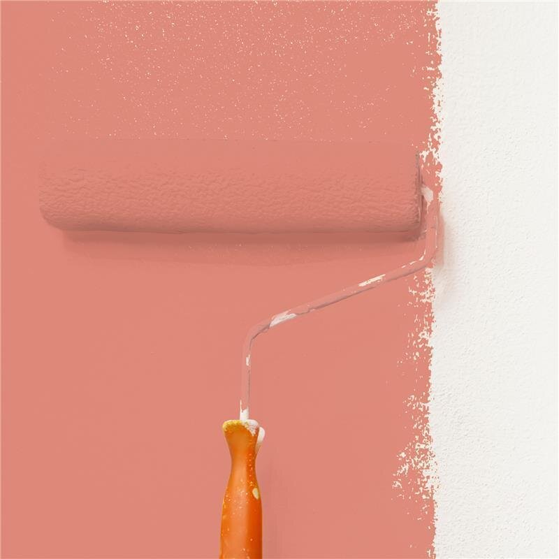 Wandfarbe NCS-S-2040-Y80R Goldener Apricot von Wallcover Colors