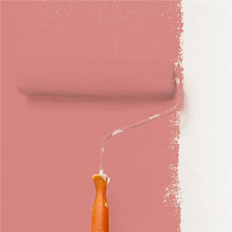 Wandfarbe NCS-S-2040-Y90R Sonnenuntergangsrot von Wallcover Colors