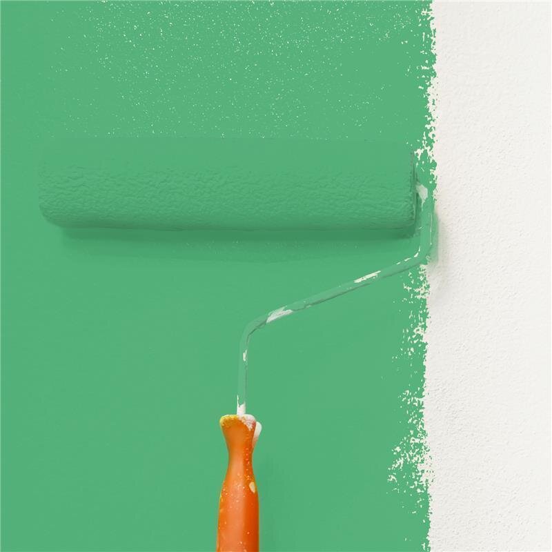 Wandfarbe NCS-S-2050-G10Y Frühlingsfrische von Wallcover Colors