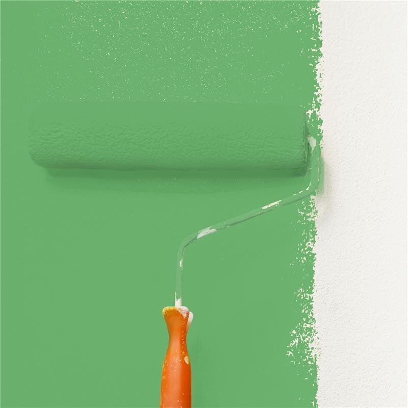 Wandfarbe NCS-S-2050-G20Y Frühlingsfrische von Wallcover Colors
