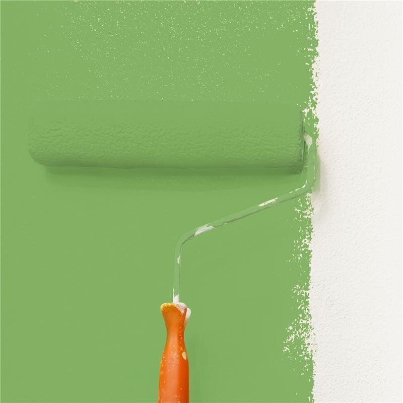 Wandfarbe NCS-S-2050-G30Y Frühlingssonne von Wallcover Colors