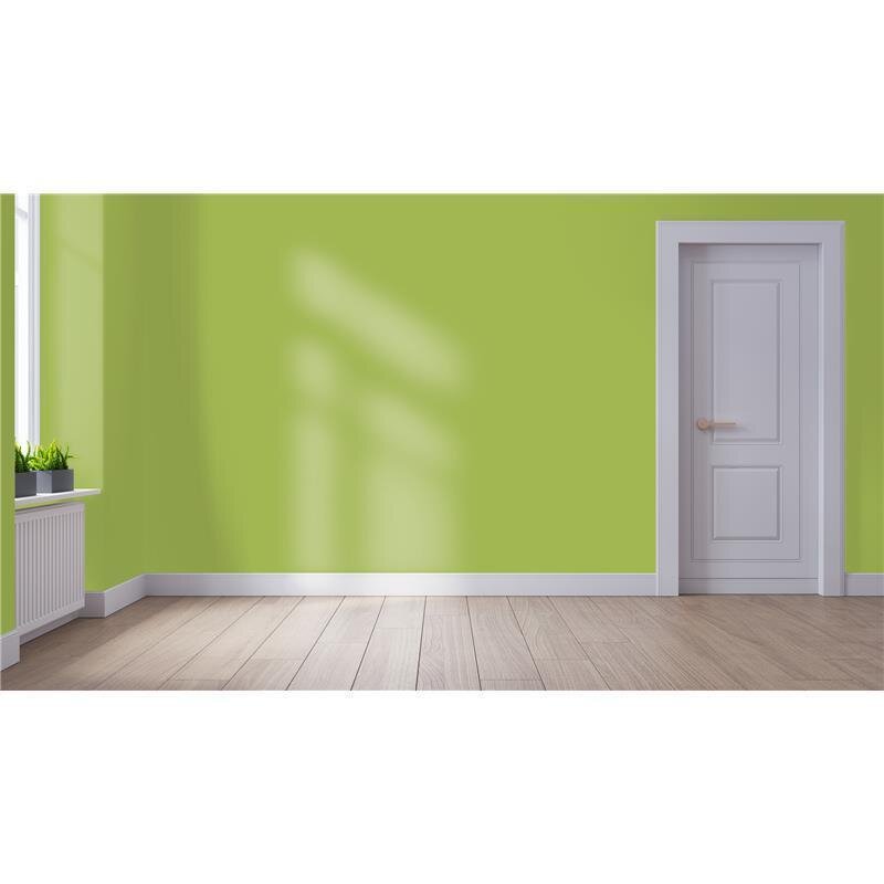 Wandfarbe NCS-S-2050-G50Y Frühlingsfrische von Wallcover Colors