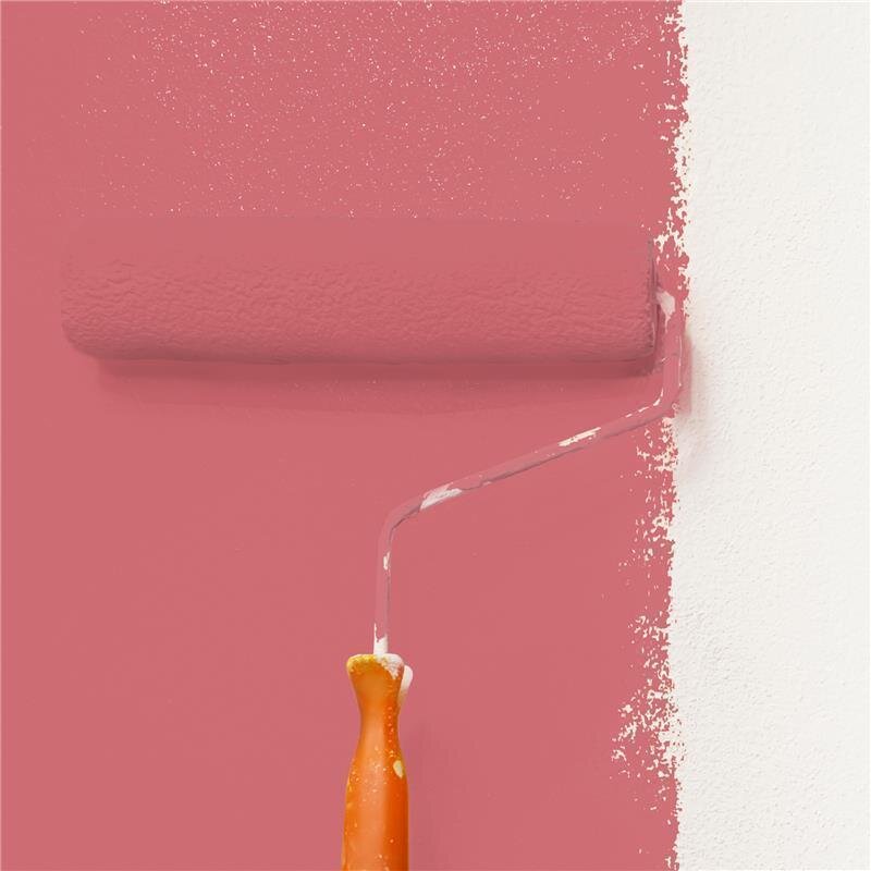 Wandfarbe NCS-S-2050-R Lebendiges Rot von Wallcover Colors