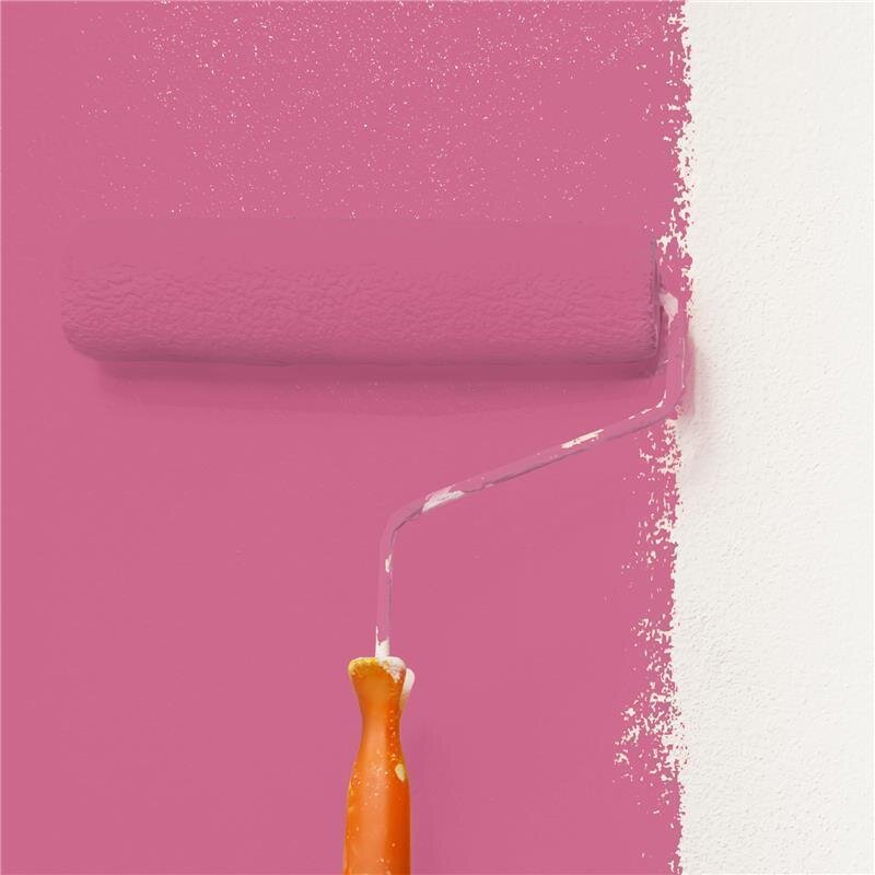 Wandfarbe NCS-S-2050-R20B Rubinblau von Wallcover Colors