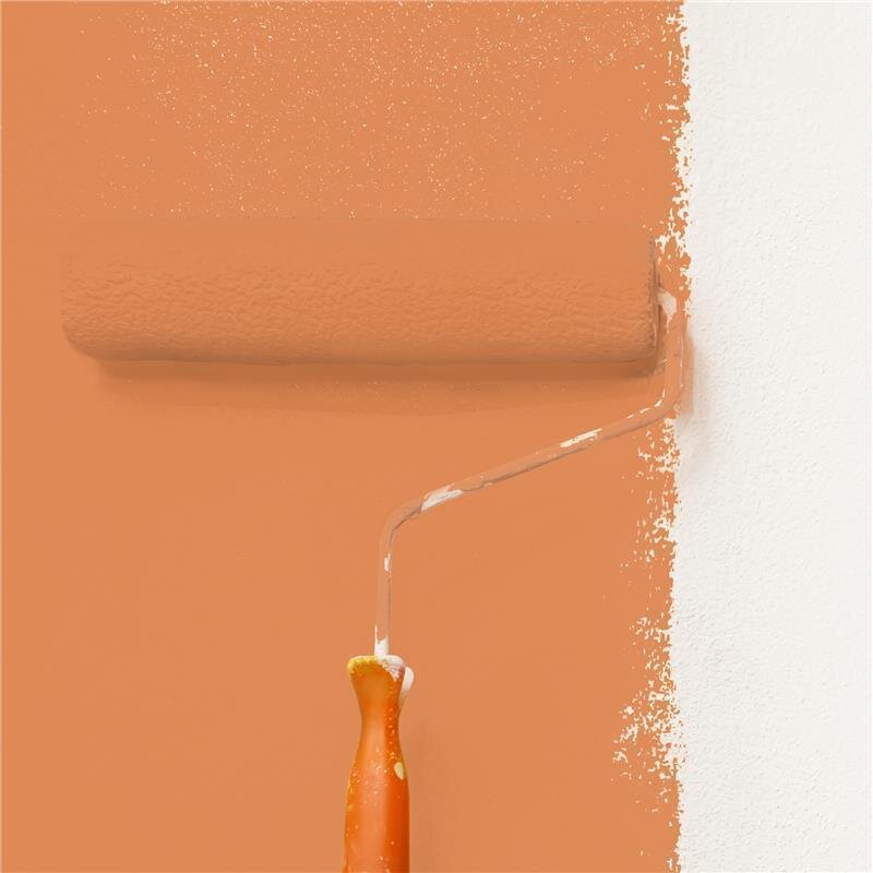 Wandfarbe NCS-S-2050-Y50R Goldenes Apricot von Wallcover Colors