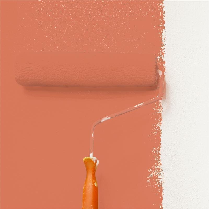 Wandfarbe NCS-S-2050-Y70R Sonniges Apricot von Wallcover Colors
