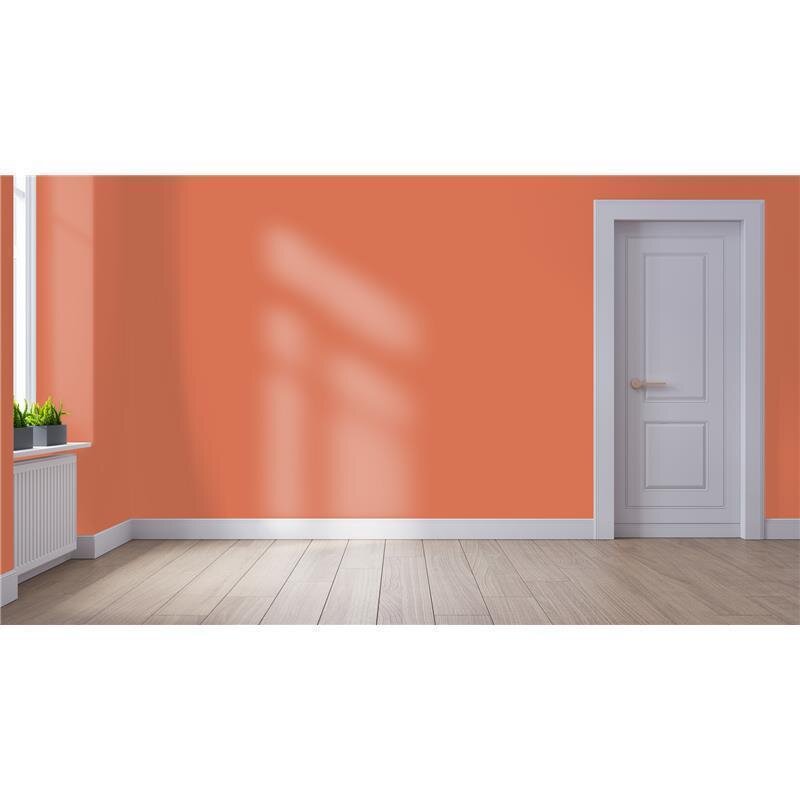 Wandfarbe NCS-S-2050-Y70R Sonniges Apricot von Wallcover Colors