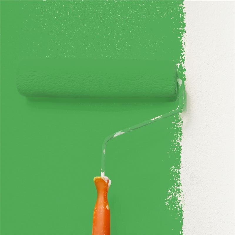 Wandfarbe NCS-S-2060-G20Y Frühlingsgrün von Wallcover Colors