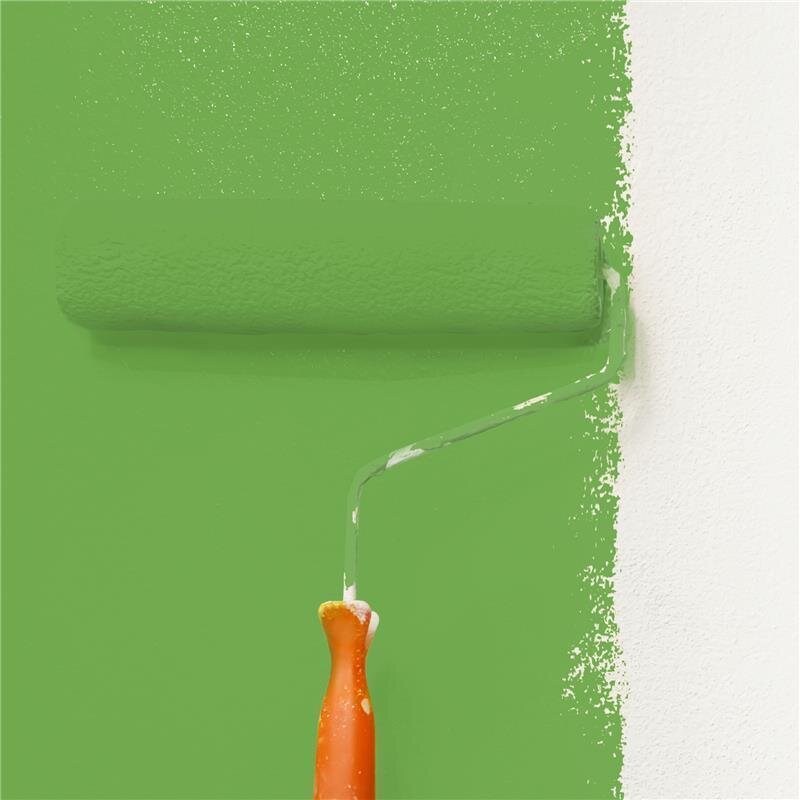 Wandfarbe NCS-S-2060-G30Y Frühlingsfrische von Wallcover Colors