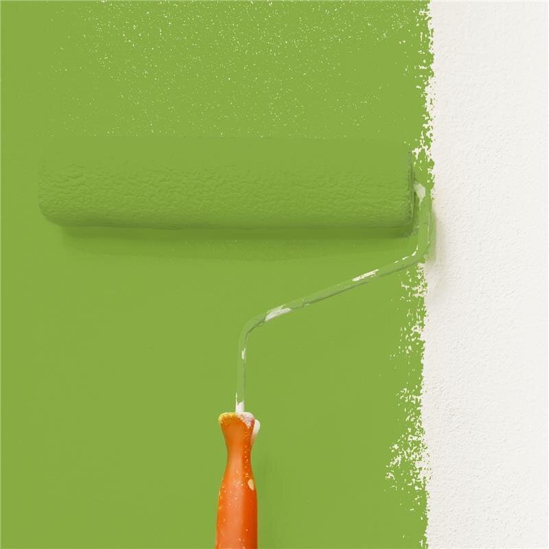 Wandfarbe NCS-S-2060-G40Y Frühlingswald von Wallcover Colors