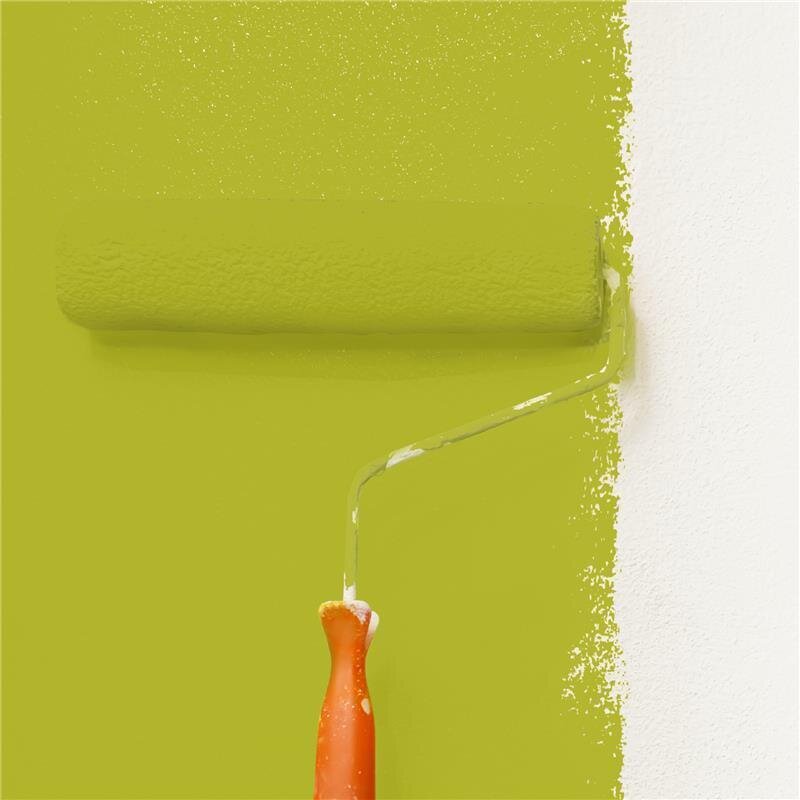 Wandfarbe NCS-S-2060-G70Y Frühlingsfrische von Wallcover Colors