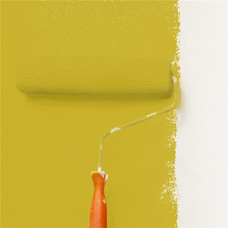 Wandfarbe NCS-S-2060-G90Y Frühlingsgrün von Wallcover Colors