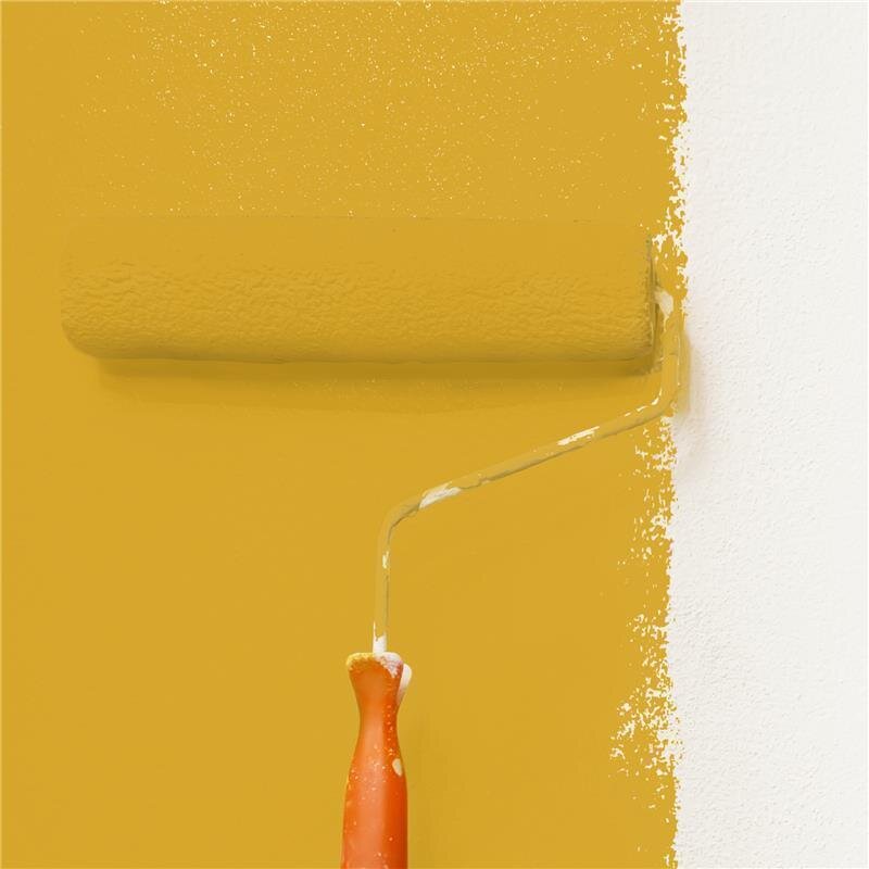 Wandfarbe NCS-S-2060-Y10R Sonnenuntergangsgold von Wallcover Colors