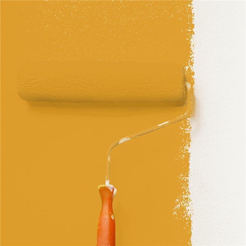 Wandfarbe NCS-S-2060-Y20R Sonnenuntergangsgold von Wallcover Colors