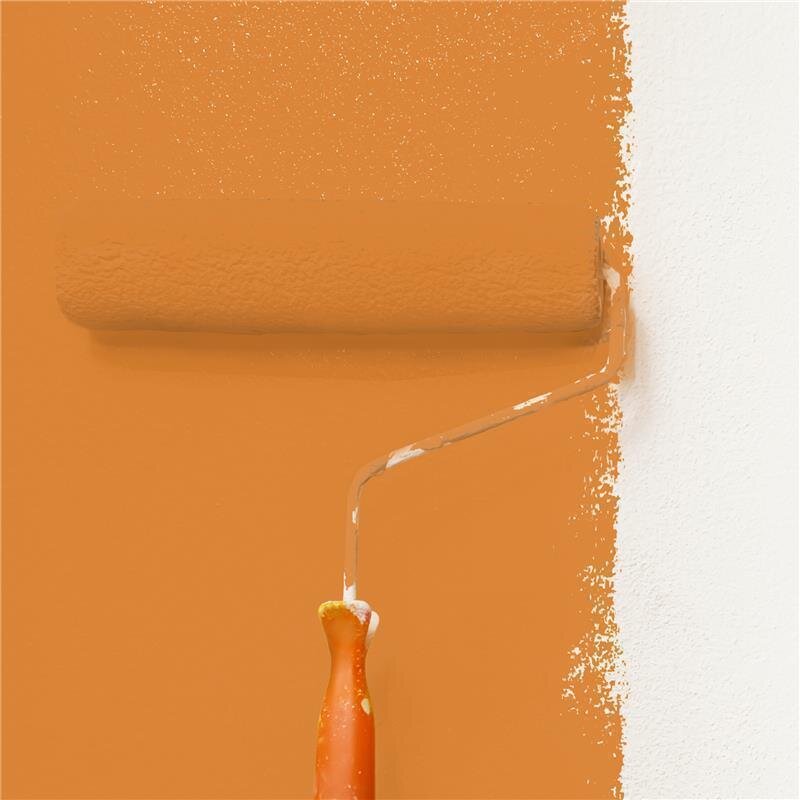 Wandfarbe NCS-S-2060-Y40R Sonnengold von Wallcover Colors