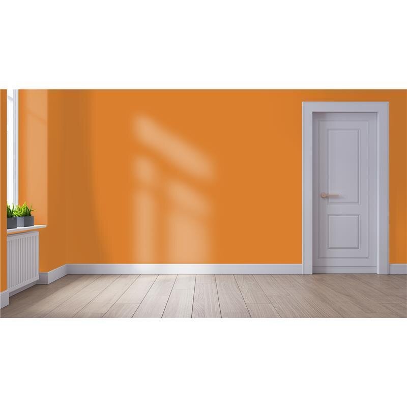 Wandfarbe NCS-S-2060-Y40R Sonnengold von Wallcover Colors