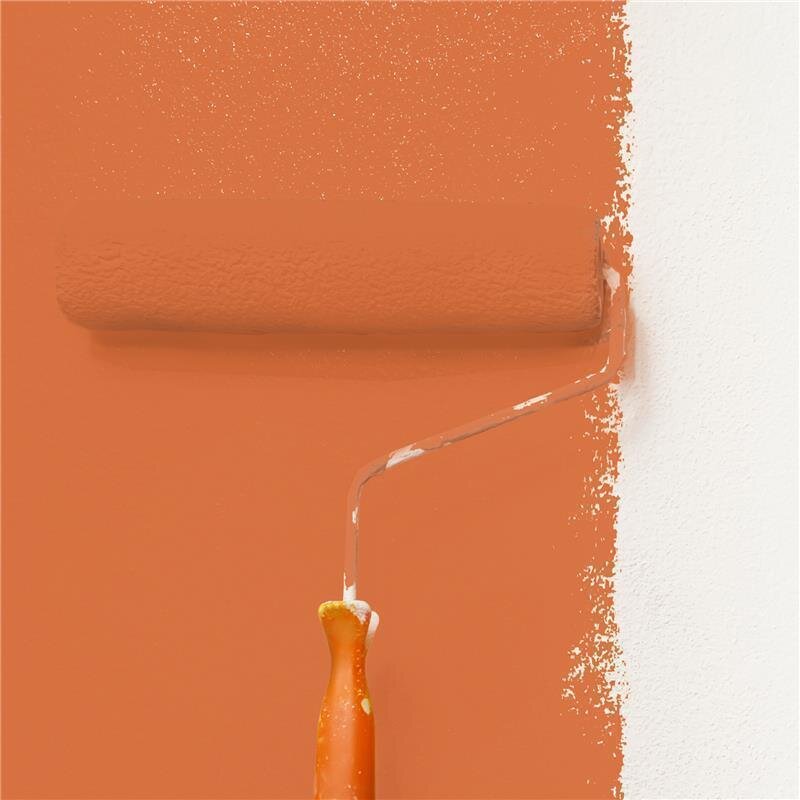 Wandfarbe NCS-S-2060-Y60R Sonnenfeuer von Wallcover Colors