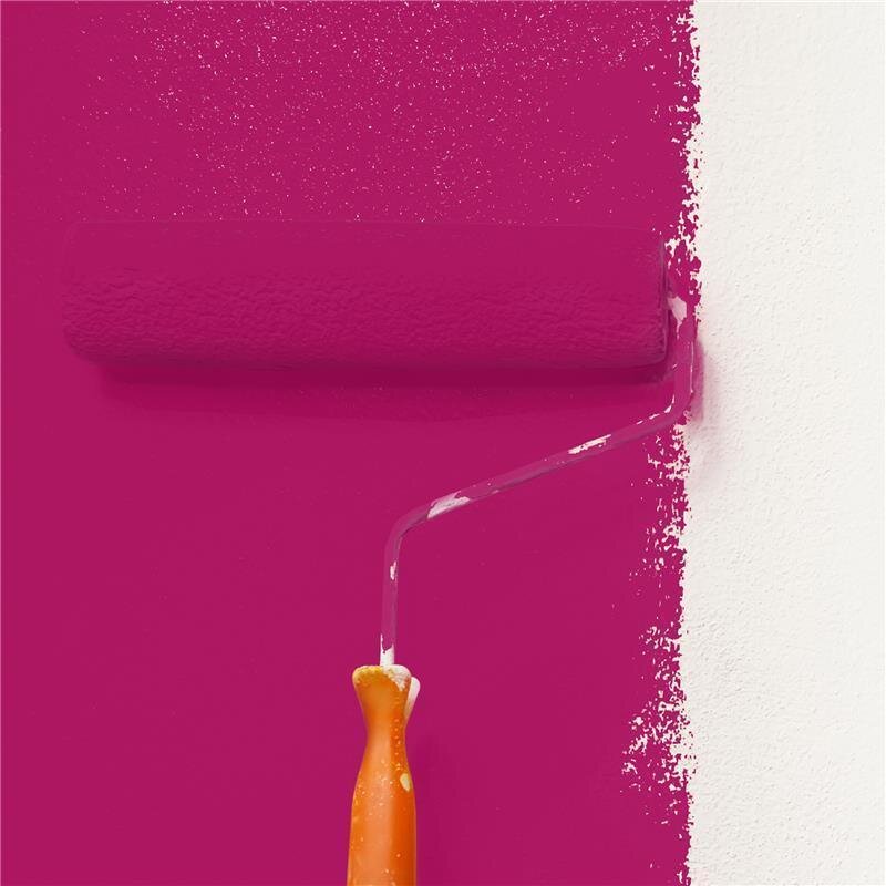 Wandfarbe NCS-S-2065-R20B Sonnenuntergangsrot von Wallcover Colors