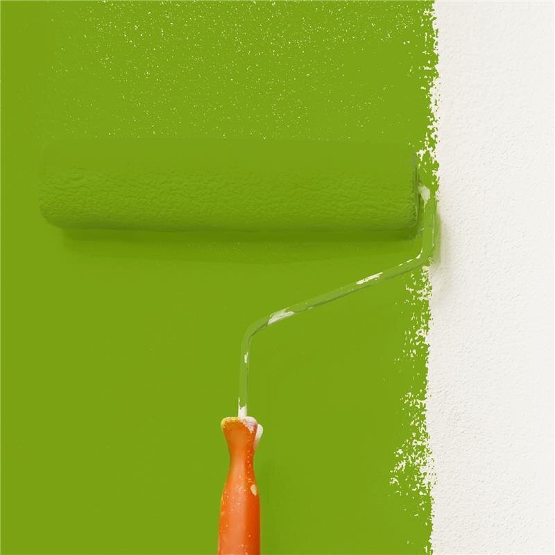 Wandfarbe NCS-S-2070-G40Y Frühlingsgrün von Wallcover Colors