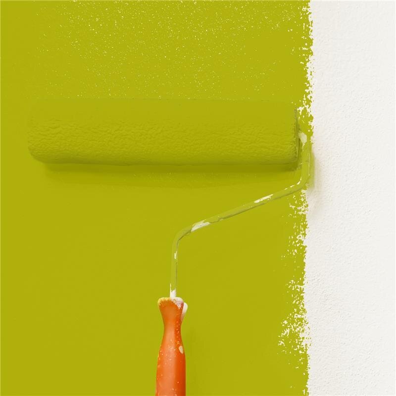 Wandfarbe NCS-S-2070-G70Y Lebendiges Grün-Gelb von Wallcover Colors