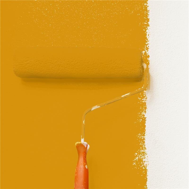 Wandfarbe NCS-S-2070-Y20R Goldener Herbst von Wallcover Colors