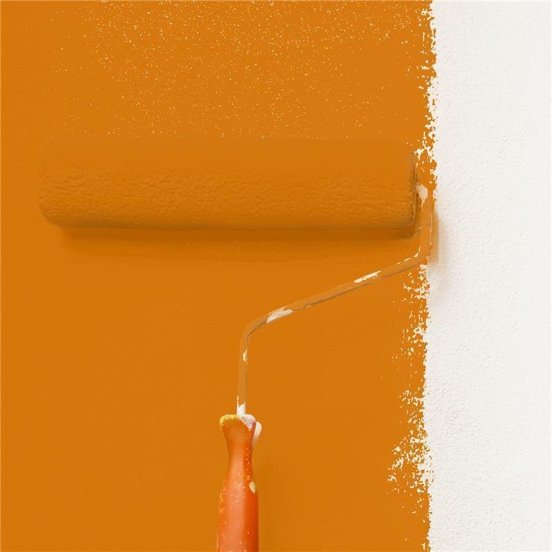 Wandfarbe NCS-S-2070-Y40R Goldener Terrakotta von Wallcover Colors